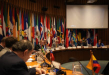 Urge aumentar la cooperación Sur-Sur en bien un orden internacional más inclusivo y equilibrado: CEPAL